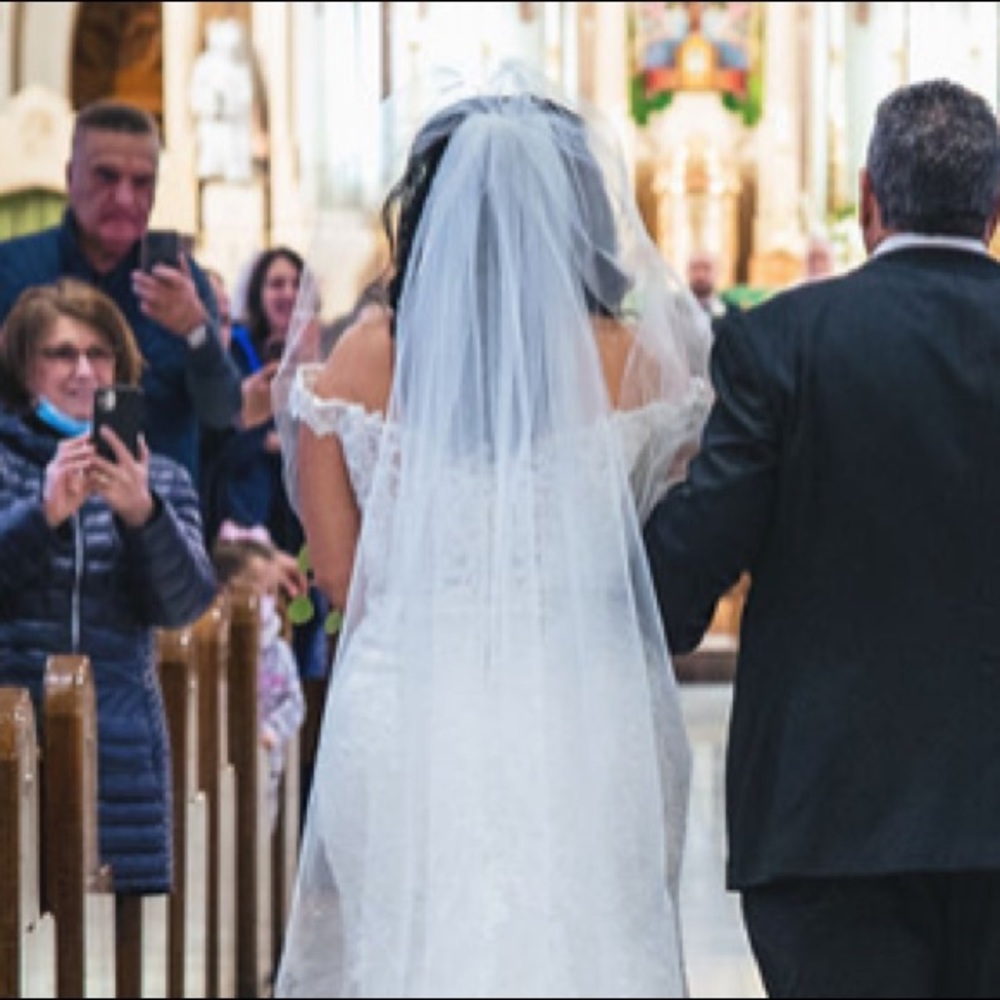 Cathedral 150” Veil in Ivory with rock candy detail along edges.